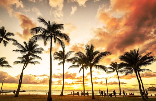 Waikiki Condo | Kuhio Village 904a Condo by RedAwning