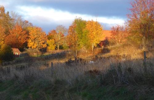 Broddetorp Bed & Breakfast | Löfwings B&B