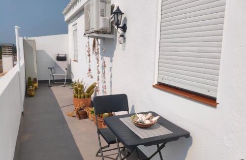 Sant Jaume d'Enveja Apartment | L'àtic dels flamencs
