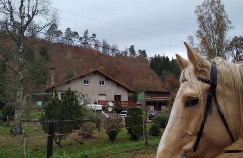 Soucht House | L'échappée verte - gîte equestre 5 pers