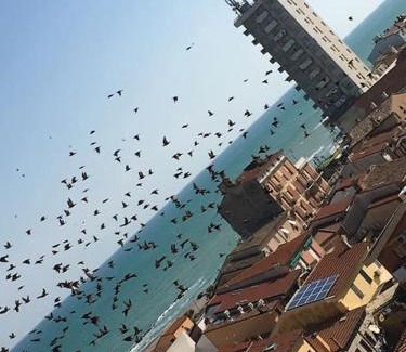 Porto Recanati Apartment | L'Attico sul Mare