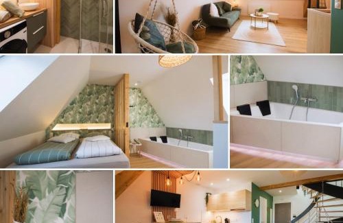 Haguenau Apartment | L'Exotique Baignoire Double Cozy Duplex