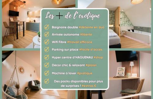 Haguenau Apartment | L'Exotique Baignoire Double Cozy Duplex