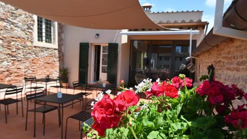 Lucca Historical Center Bed & Breakfast | L'Iris B&B in Terrazza