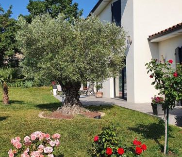 Mornant House | L'Olivier