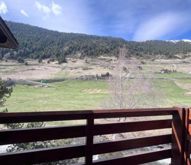 Soldeu Apartment | L'ORENETA - Peu del Riu 712 - Vall d'Incles - Soldeu Hut 8367