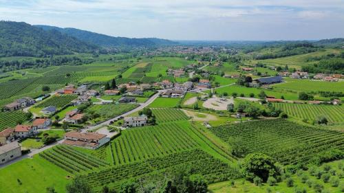 Nimis Bed & Breakfast | L’Oro di Nonna Adele