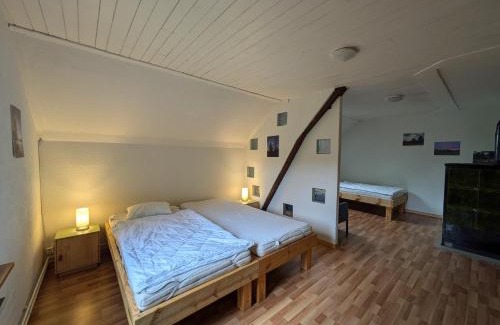 Haute-Sorne Apartment | La Belle Etoile - Bauernhof in mitten der Natur
