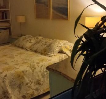 Olavarria House | La biblioteca