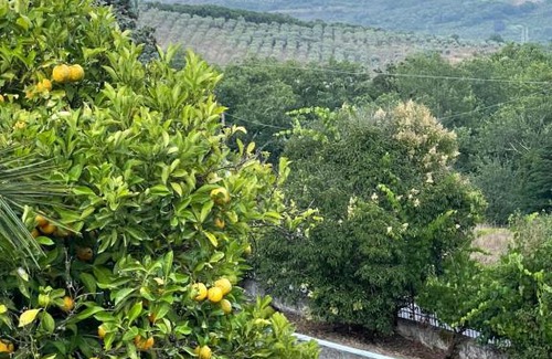 San Mauro La Bruca Other | La Bolla dell'Usignolo