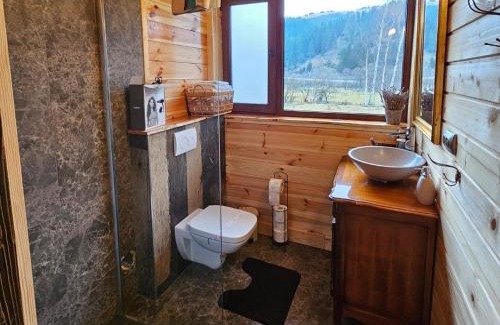 Vatra Dornei Ski Chalet | La Căsuță