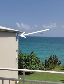 Pointe de la verdure Apartment | La Case à Méline