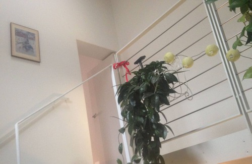 Parma City Centre Apartment | La Casina Meravigliosa, convenient and in the center !!!!!!!!!!!!!!!!!!!!!!!!!!!!!!!!!!!!!