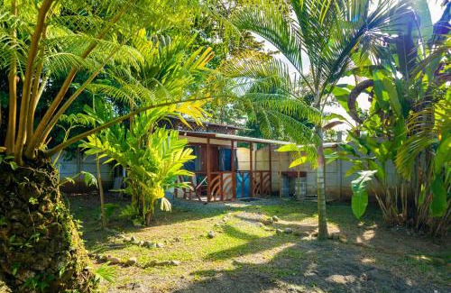 Manzanillo Apartment | La Casita Cozy Beachfront Cottage with Shared Pool Access