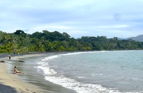 Manzanillo Apartment | La Casita Cozy Beachfront Cottage with Shared Pool Access
