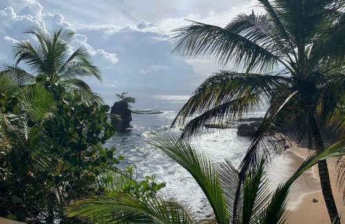 Manzanillo Apartment | La Casita Cozy Beachfront Cottage with Shared Pool Access