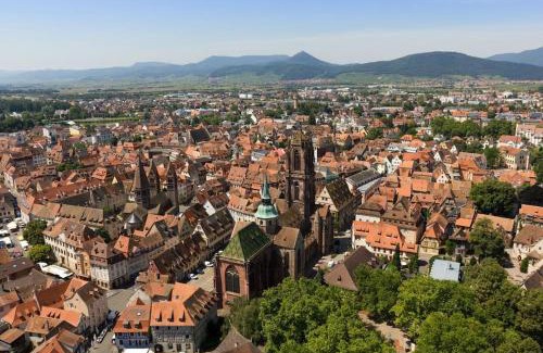 Selestat Apartment | la cigogne d'Alsace 1