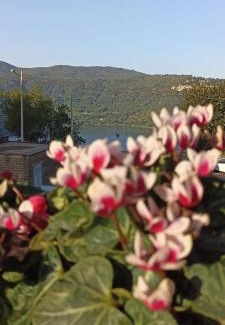 Genzano di Roma House | La Dimora del Lago