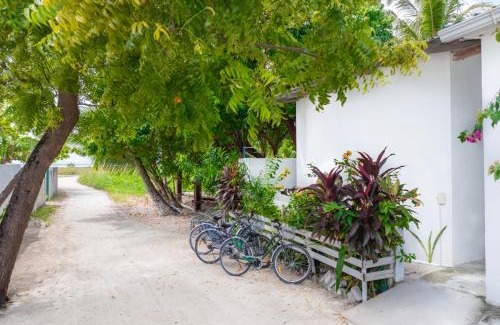 Thulusdhoo Island House | La Due Thulusdhoo