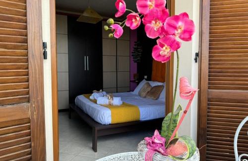 Gambassi Terme Apartment | La Franci, Terme e Francigena
