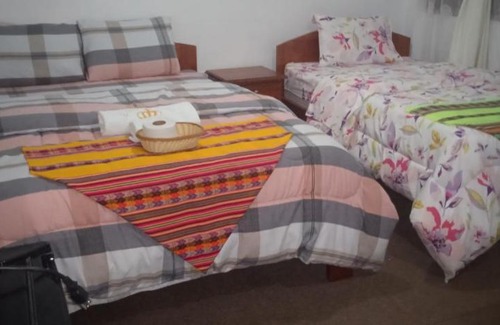 Pedro Ruiz Hotel | La jungla del Rey VIP Hotel