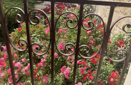Avignon City Centre Bed & Breakfast | La Maison des Augustins 4 stars Spa et Fitness