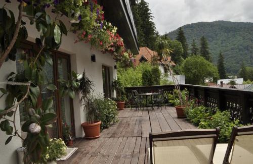 Sinaia House | La Monitori