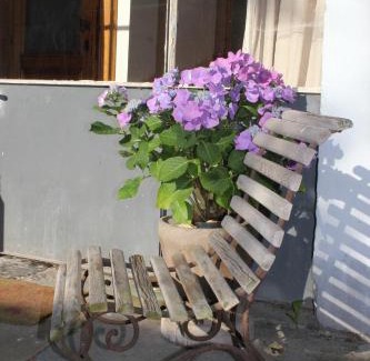 Bossiere Bed & Breakfast | La Passiflore B&B