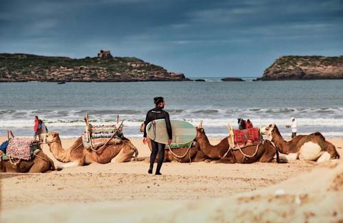 Sidi Kaouki Villa | La Perle d'Argan
