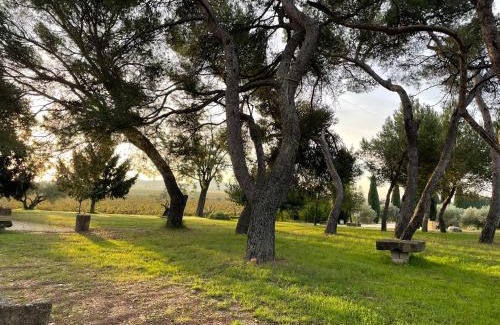 Montfrin House | "La Pinède" à l'ombre des pins tout simplement