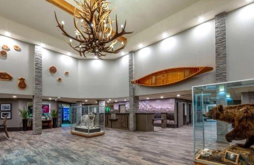 College Hotel | La Quinta by Wyndham Fairbanks Airport
