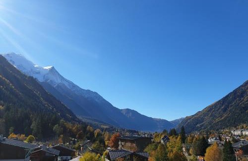 Chamonix City Centre Apartment | La Snaille des Planards