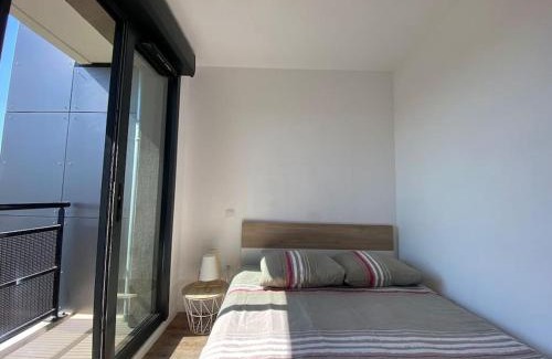 Montaudran - Lespinet Apartment | La Suite Griffon - Parking & Balcon