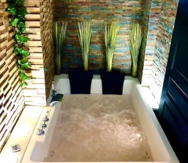 Sens Apartment | La suite romantique Jacuzzi,parking gratuit,centre