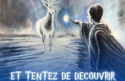 Boulogne-Centre Apartment | La Tanière Éternelle - Repère de sorciers à Boulogne Sur Mer