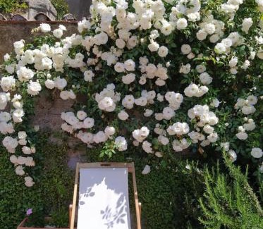 Lake Bracciano House | La Torretta del Lago