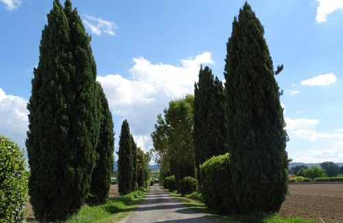 Narni Bed & Breakfast | La Vecchia Stalla B&B