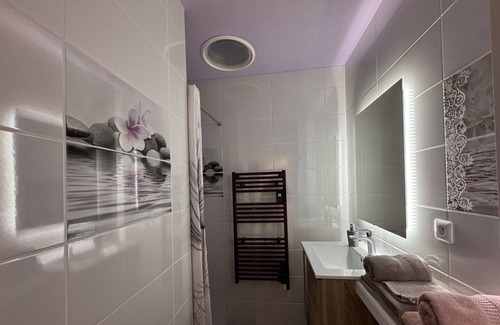 Miroir - Batignolles House | La Victoria - Gare - Luxe - Rêve au Mans