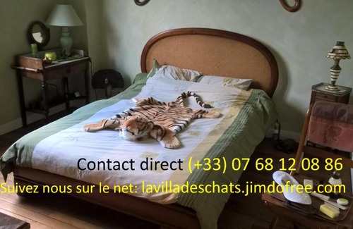 Andresy Bed & Breakfast | la villa des chats