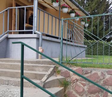 Igal House | Laciház