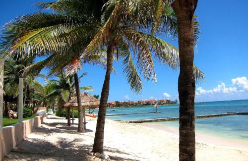 Puerto Aventuras Apartment | Lagoonfront Apartment with Pool and Beach Access