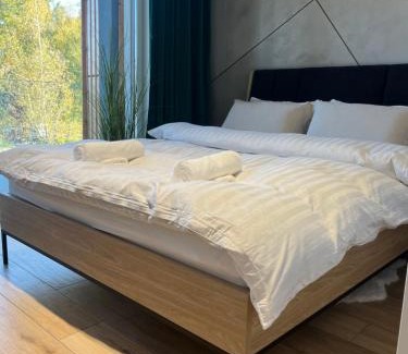 gmina odygowice Apartment | Laguna Beskidów Apartament A5