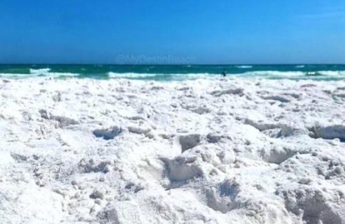 Holiday Isle House | Laguna Point Private Beach Access