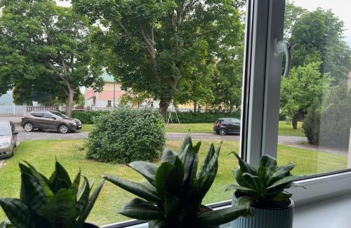 Haapsalu Apartment | Lahe külaliskorter