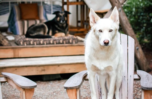 Black Creek RV Rental | Lake Front Farm, Glamping & Sauna Experience
