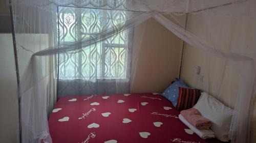 Lake Natron Bed & Breakfast | Lake natron Naibala Bed&Breakfast