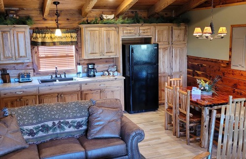 Sylvan Shores Cabin | Lake Shore Cabin on Beaver Lake Waterfront with Boat Dock w/Slips