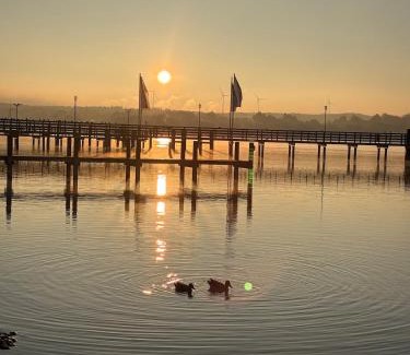 Oberdorla Apartment | Lake view, central, terrace