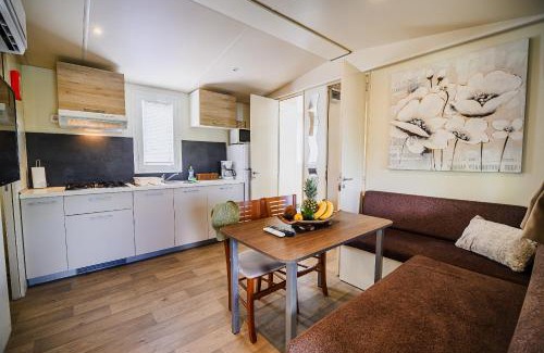 Terme Catez Apartment | Lake View Mobile Homes with Thermal Riviera Tickets in Terme Čatež