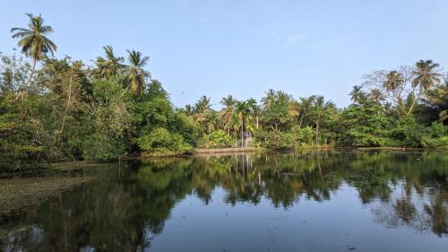 Tangalle House | Lake view nest